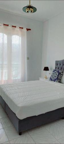 Miramare Hotel Argostoli (Kefalonia) Quarto foto